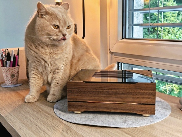 Kōboku liegend – Walnuss, Lochgitter, Qualitätskontrolle durch die Katze